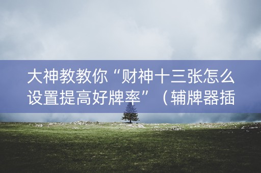 大神教教你“财神十三张怎么设置提高好牌率”（辅牌器插件购买)