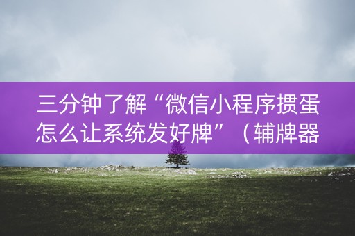 三分钟了解“微信小程序掼蛋怎么让系统发好牌”（辅牌器插件购买)