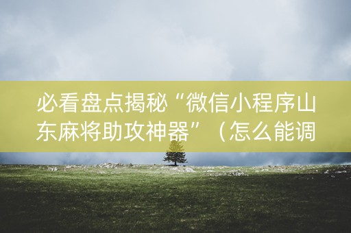 必看盘点揭秘“微信小程序山东麻将助攻神器”（怎么能调好牌)