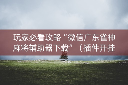 玩家必看攻略“微信广东雀神麻将辅助器下载”（插件开挂免费AI)