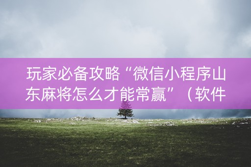 玩家必备攻略“微信小程序山东麻将怎么才能常赢”（软件出售)