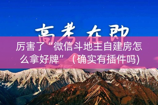 厉害了“微信斗地主自建房怎么拿好牌”（确实有插件吗)