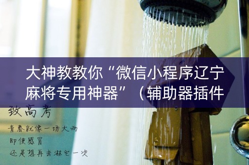大神教教你“微信小程序辽宁麻将专用神器”（辅助器插件)