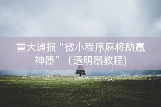 重大通报“微小程序麻将助赢神器”（透明器教程)