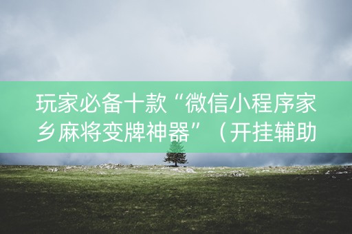 玩家必备十款“微信小程序家乡麻将变牌神器”（开挂辅助插件)