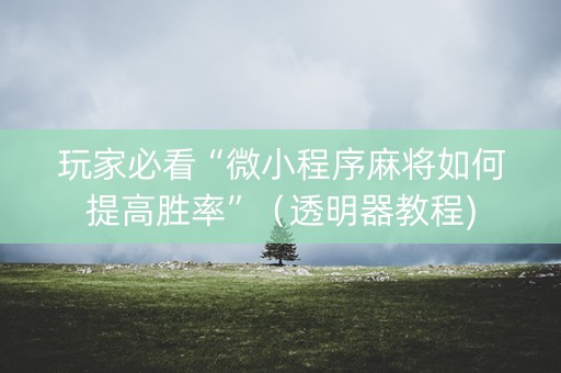 玩家必看“微小程序麻将如何提高胜率”（透明器教程)