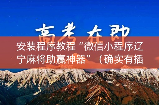 安装程序教程“微信小程序辽宁麻将助赢神器”（确实有插件吗)