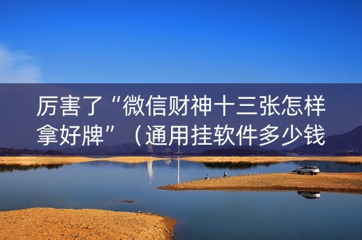 厉害了“微信财神十三张怎样拿好牌”（通用挂软件多少钱)