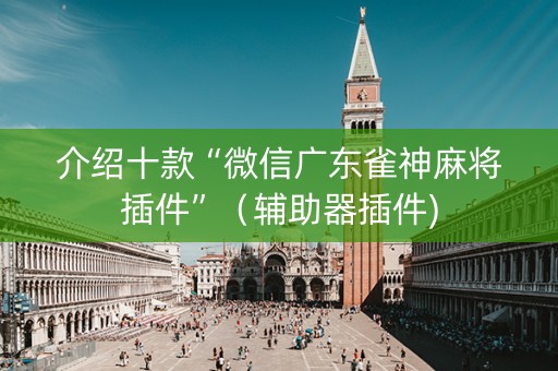 介绍十款“微信广东雀神麻将插件”（辅助器插件)