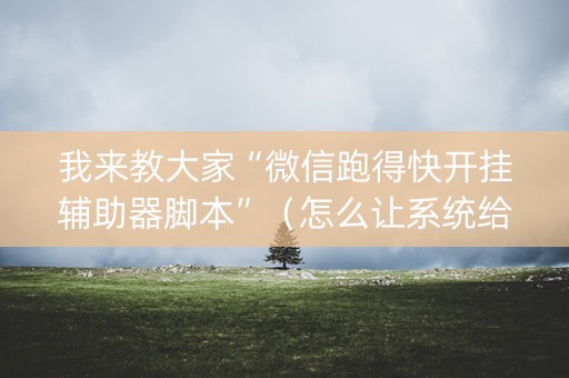 我来教大家“微信跑得快开挂辅助器脚本”（怎么让系统给自己好牌)