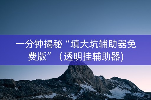 一分钟揭秘“填大坑辅助器免费版”（透明挂辅助器)