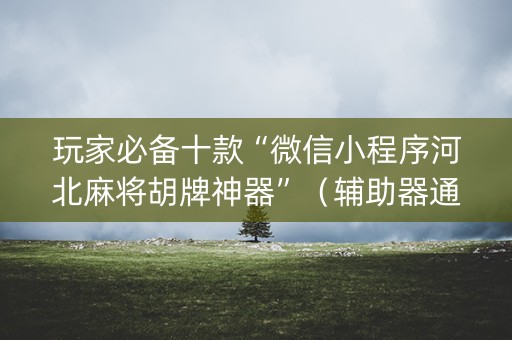玩家必备十款“微信小程序河北麻将胡牌神器”（辅助器通用版)