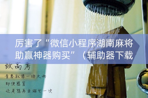 厉害了“微信小程序湖南麻将助赢神器购买”（辅助器下载)