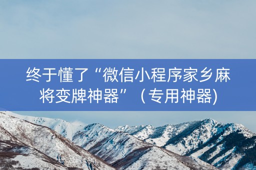 终于懂了“微信小程序家乡麻将变牌神器”（专用神器)