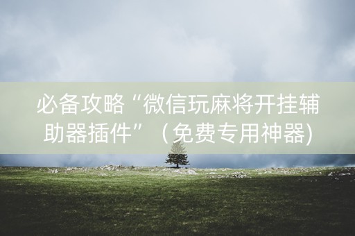 必备攻略“微信玩麻将开挂辅助器插件”（免费专用神器)