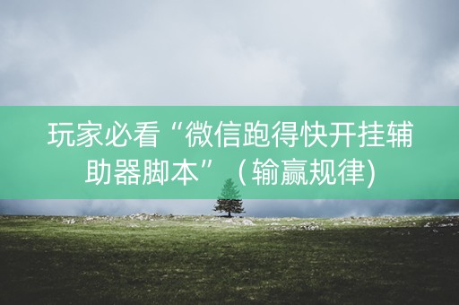 玩家必看“微信跑得快开挂辅助器脚本”（输赢规律)