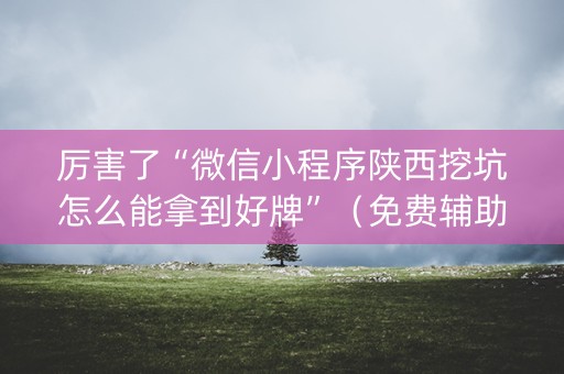 厉害了“微信小程序陕西挖坑怎么能拿到好牌”（免费辅助)