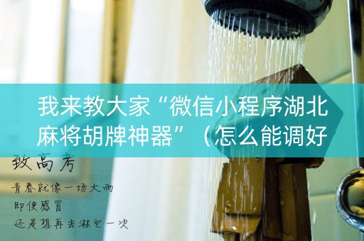 我来教大家“微信小程序湖北麻将胡牌神器”（怎么能调好牌)