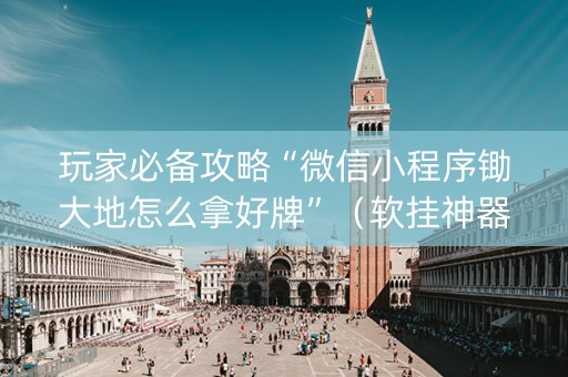 玩家必备攻略“微信小程序锄大地怎么拿好牌”（软挂神器)