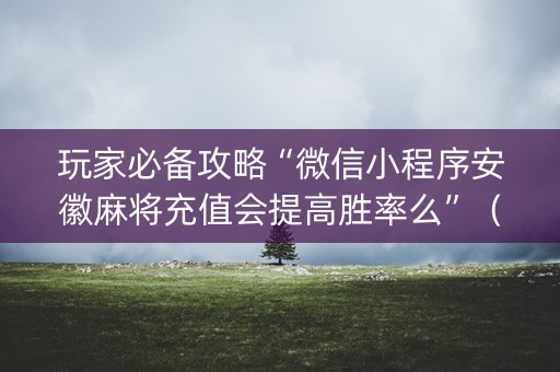 玩家必备攻略“微信小程序安徽麻将充值会提高胜率么”（挂件神器)