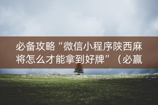 必备攻略“微信小程序陕西麻将怎么才能拿到好牌”（必赢神器)