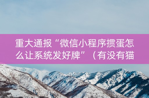 重大通报“微信小程序掼蛋怎么让系统发好牌”（有没有猫腻)