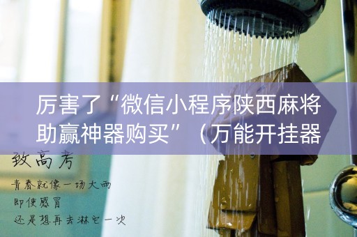厉害了“微信小程序陕西麻将助赢神器购买”（万能开挂器)