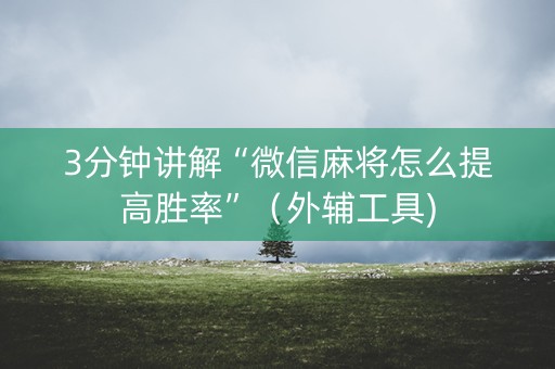 3分钟讲解“微信麻将怎么提高胜率”（外辅工具)