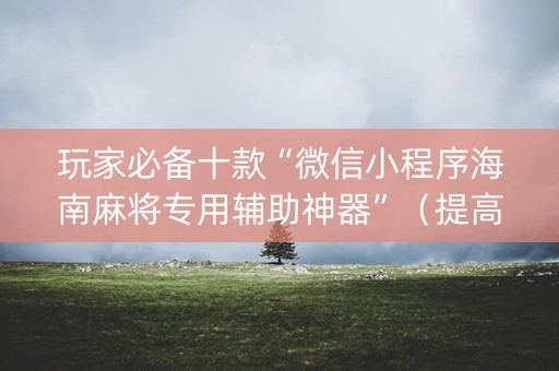 玩家必备十款“微信小程序海南麻将专用辅助神器”（提高胜率技巧)
