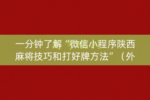 一分钟了解“微信小程序陕西麻将技巧和打好牌方法”（外辅工具)