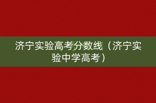 济宁实验高考分数线（济宁实验中学高考）