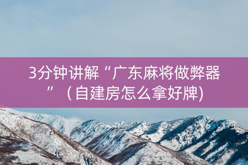 3分钟讲解“广东麻将做弊器”（自建房怎么拿好牌)