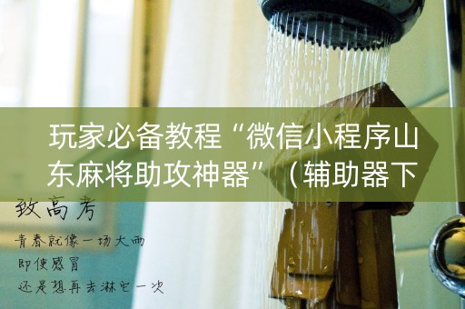 玩家必备教程“微信小程序山东麻将助攻神器”（辅助器下载)