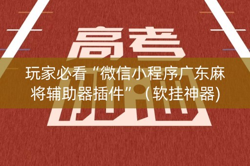 玩家必看“微信小程序广东麻将辅助器插件”（软挂神器)