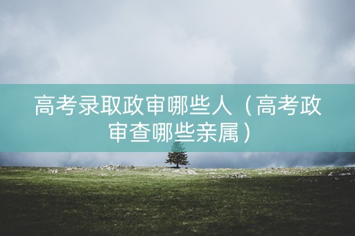 高考录取政审哪些人（高考政审查哪些亲属）