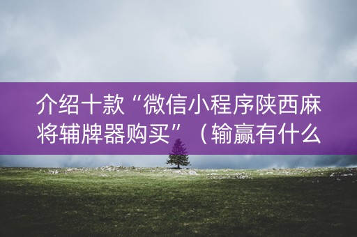 介绍十款“微信小程序陕西麻将辅牌器购买”（输赢有什么规律)
