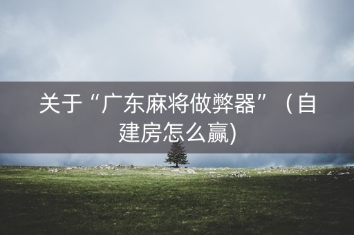 关于“广东麻将做弊器”（自建房怎么赢)