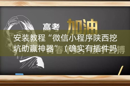 安装教程“微信小程序陕西挖坑助赢神器”（确实有插件吗)