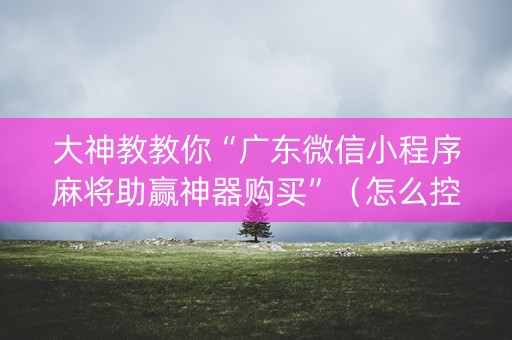 大神教教你“广东微信小程序麻将助赢神器购买”（怎么控制输赢)