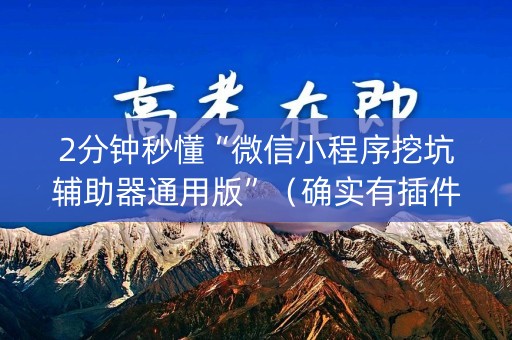 2分钟秒懂“微信小程序挖坑辅助器通用版”（确实有插件吗)