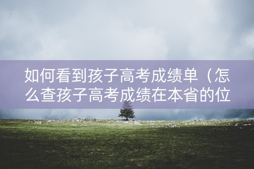 如何看到孩子高考成绩单（怎么查孩子高考成绩在本省的位次）