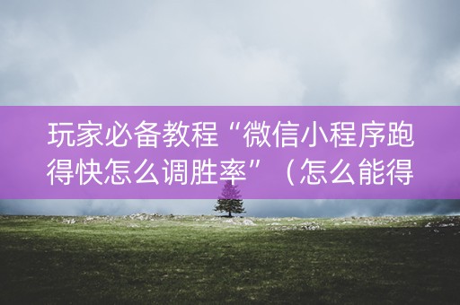 玩家必备教程“微信小程序跑得快怎么调胜率”（怎么能得到好牌)