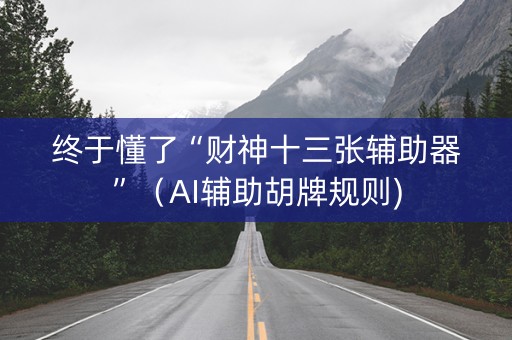 终于懂了“财神十三张辅助器”（AI辅助胡牌规则)