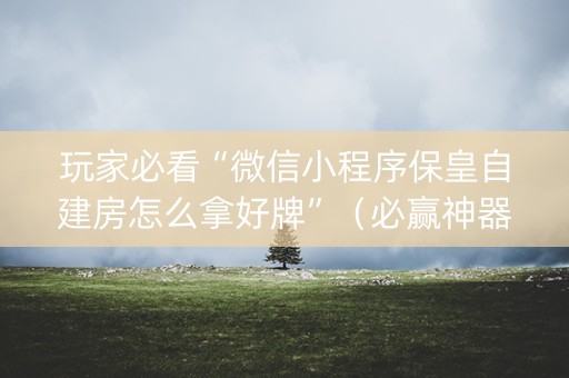 玩家必看“微信小程序保皇自建房怎么拿好牌”（必赢神器免费安装)