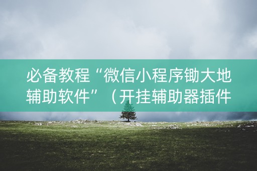 必备教程“微信小程序锄大地辅助软件”（开挂辅助器插件)