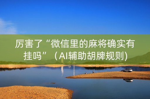 厉害了“微信里的麻将确实有挂吗”（AI辅助胡牌规则)
