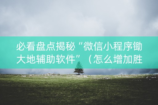 必看盘点揭秘“微信小程序锄大地辅助软件”（怎么增加胜率)