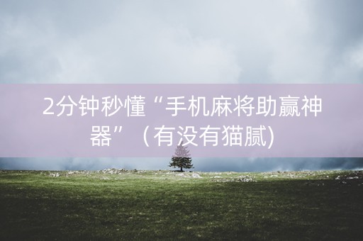 2分钟秒懂“手机麻将助赢神器”（有没有猫腻)