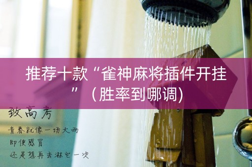 推荐十款“雀神麻将插件开挂”（胜率到哪调)