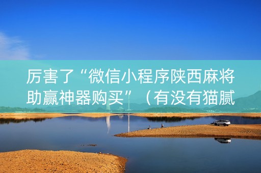 厉害了“微信小程序陕西麻将助赢神器购买”（有没有猫腻)